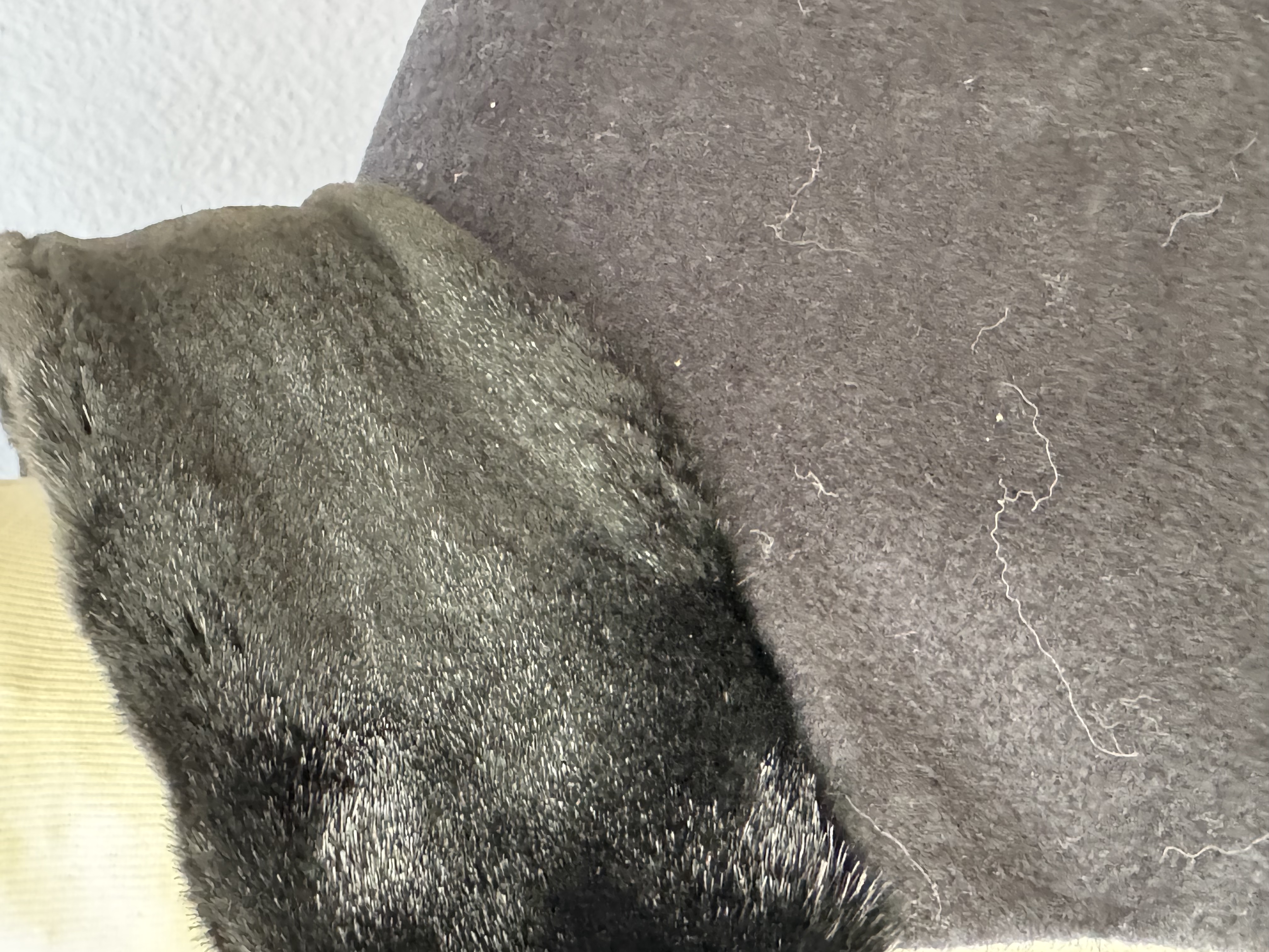 Cape 4 – Detailansicht